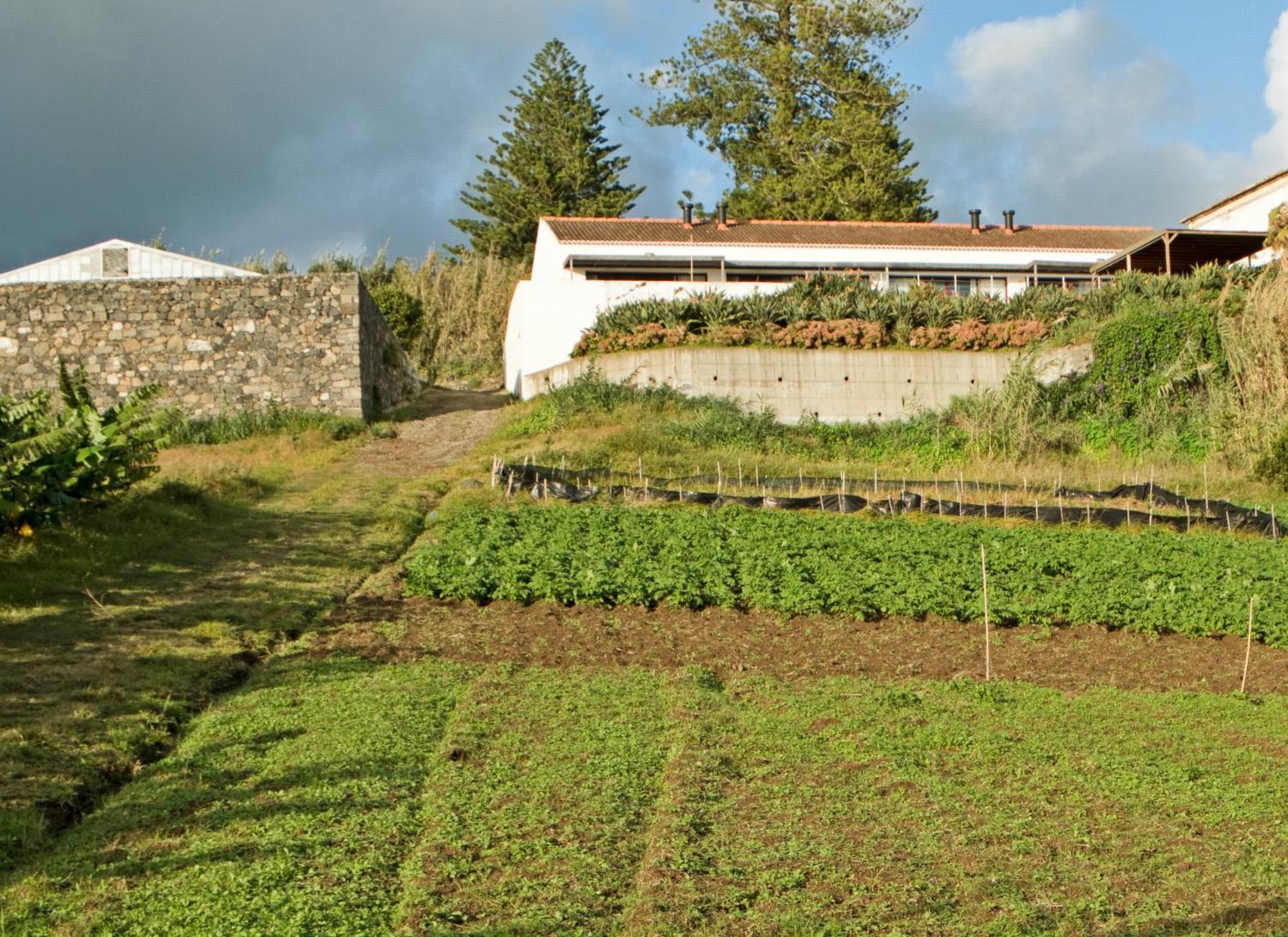 Qva - Quinta Velha Das Amoreiras Vila Franca do Campo Buitenkant foto